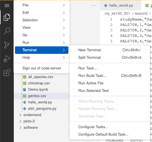 VS Code Terminal