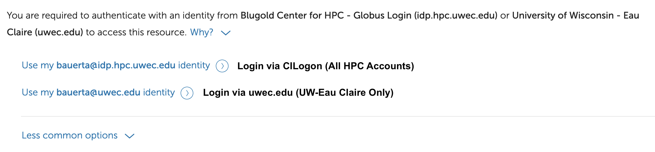 Select either @idp.hpc.uwec.edu or @uwec.edu identity for linking Globus account to BOSE